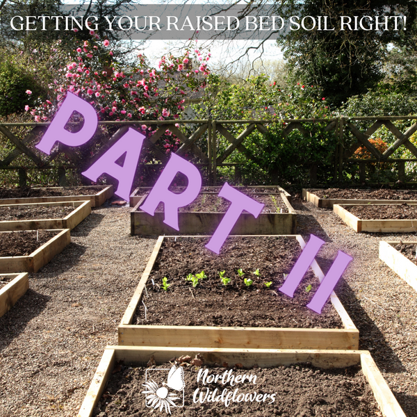 Getting Your Raised Bed Garden Soil Right, Part II