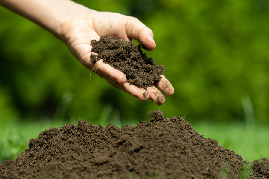 The 5 Components of Healthy Soil