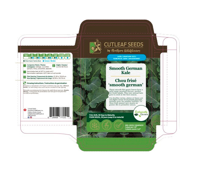 Kale, Smooth German – Northern Wildflowers