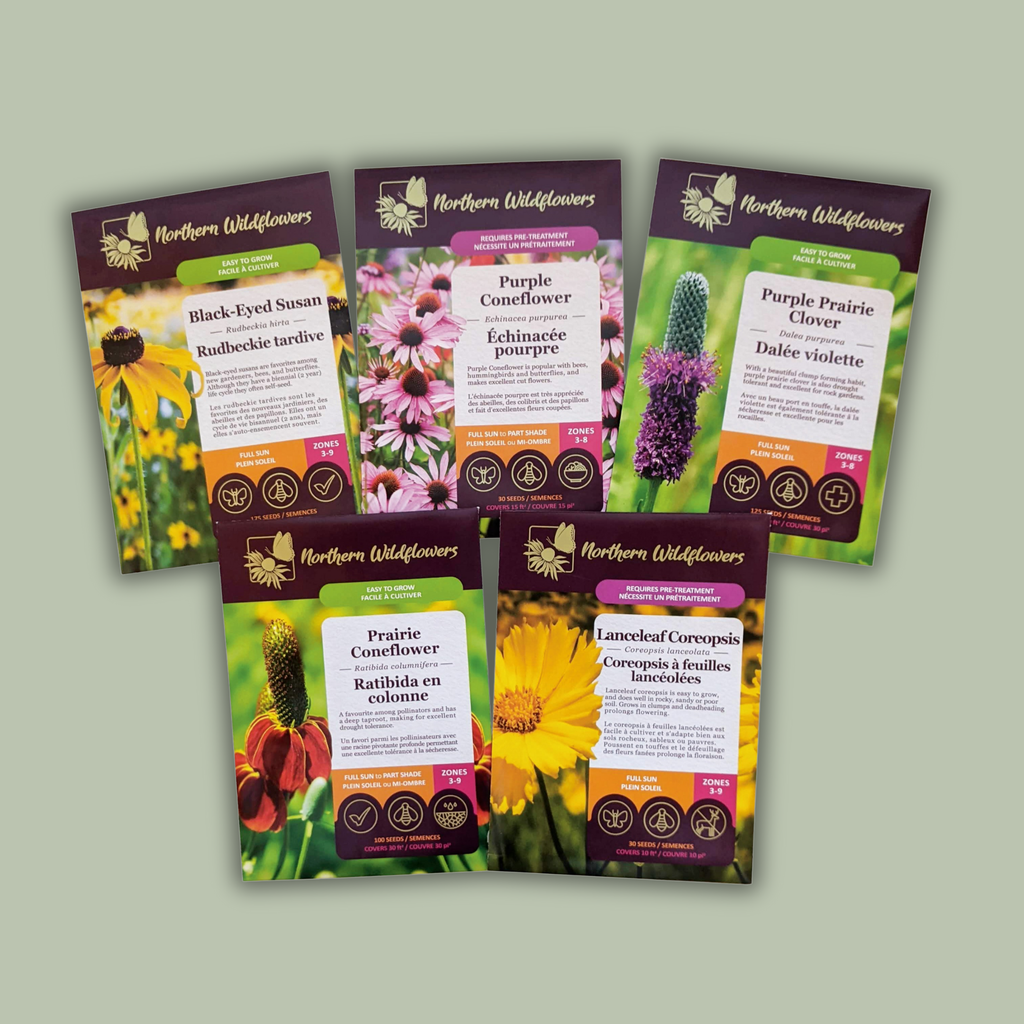 Culinary Wildflower Seed Collection – Northern Wildflowers