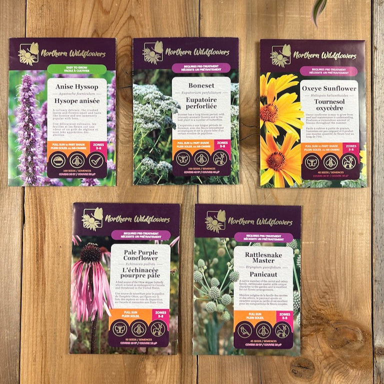 Cut Flowers Seed Collection Northern Wildflowers