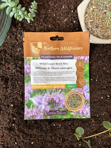 Dry and Sunny Wildflower Seed Mix