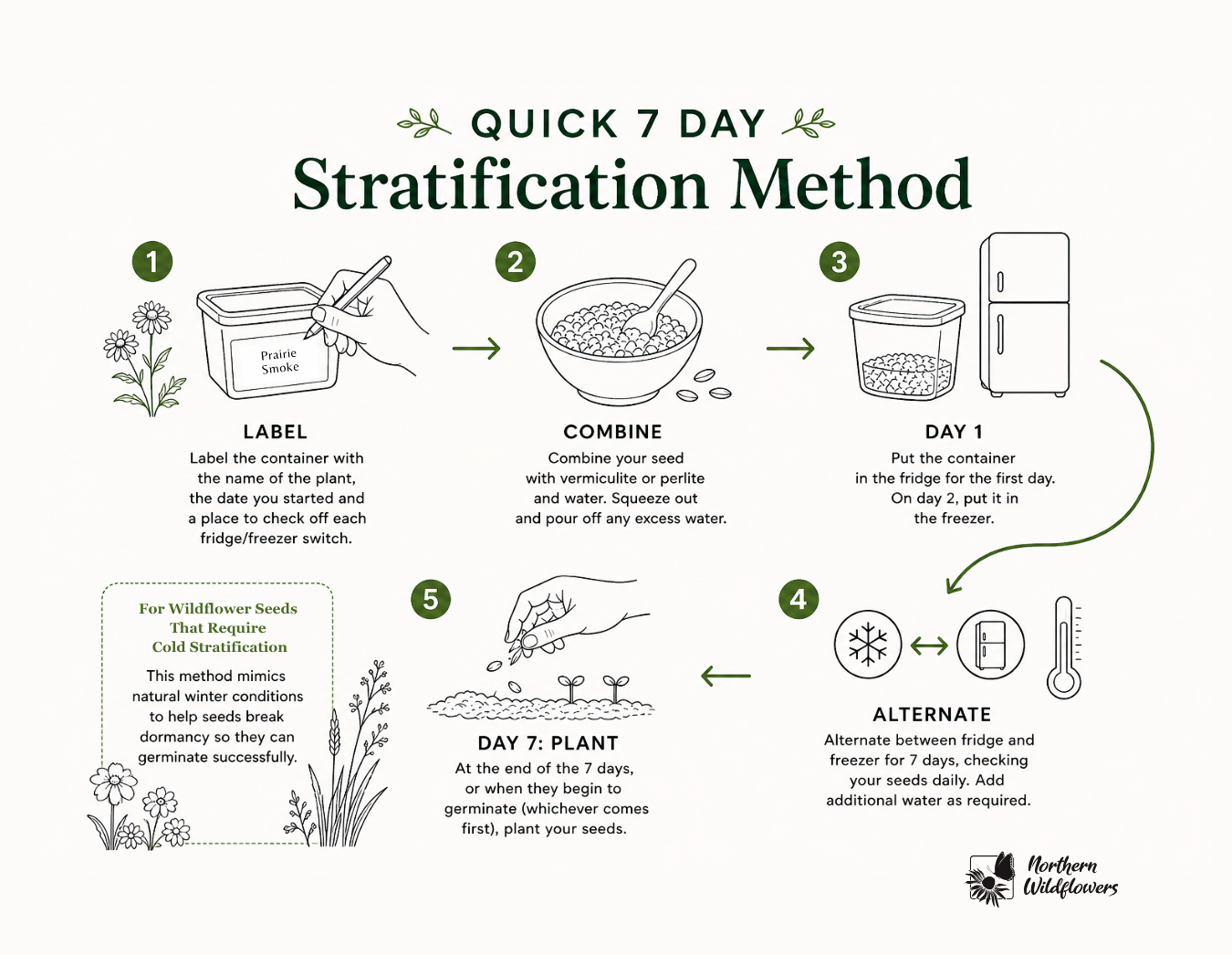 Cold Stratifying Seeds in 7 Days: Two Fridge Methods for Seed Stratification