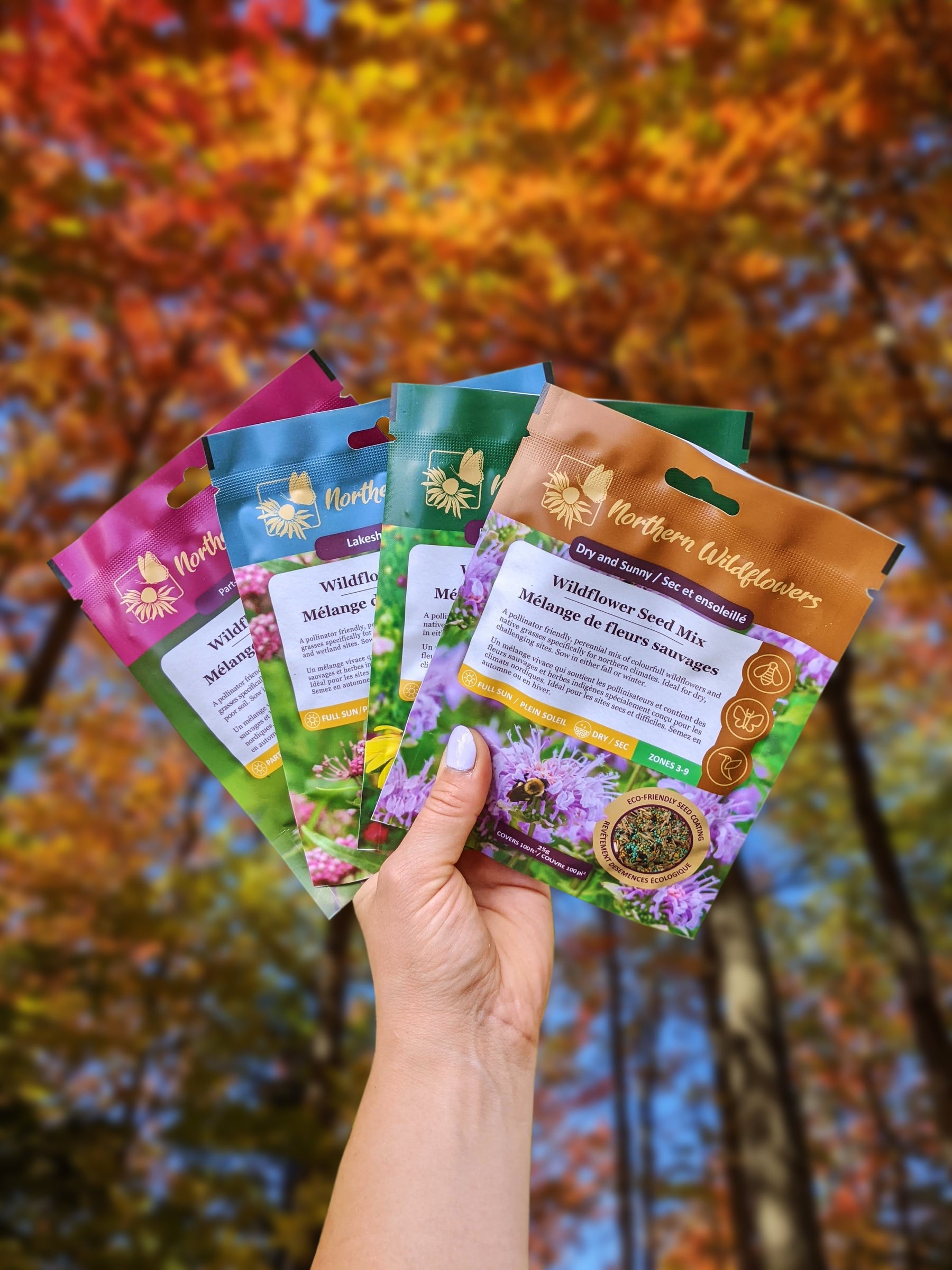 Planting Nature’s Way: Seeding Wildflowers in Fall