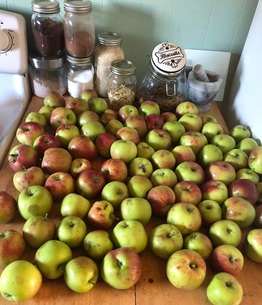 Apple Appreciation- 4 Interesting Ways to Make Use of Your Apple Harvest