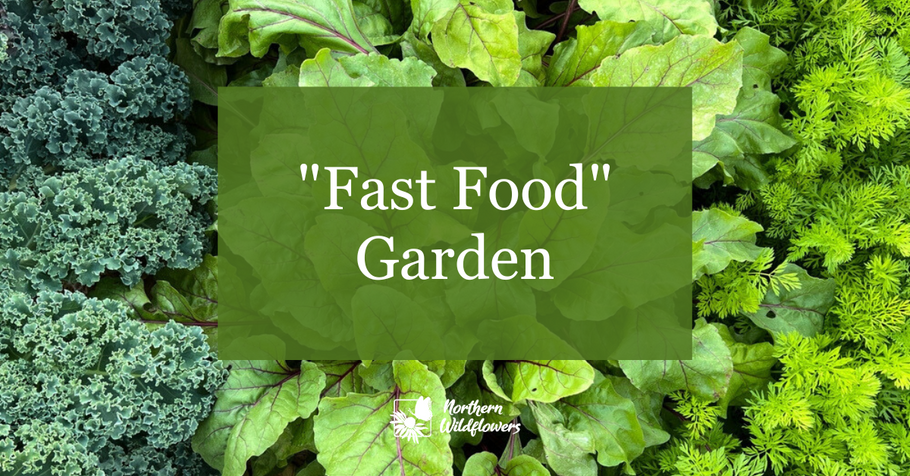 "Fast Food" Garden - Quick Yielding Vegetables & Garden Plans