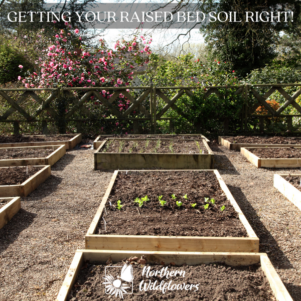 Obtenir votre sol de jardin surélevé, partie I