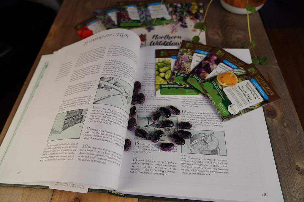 Navigating the Terminology Jungle of Seed Types