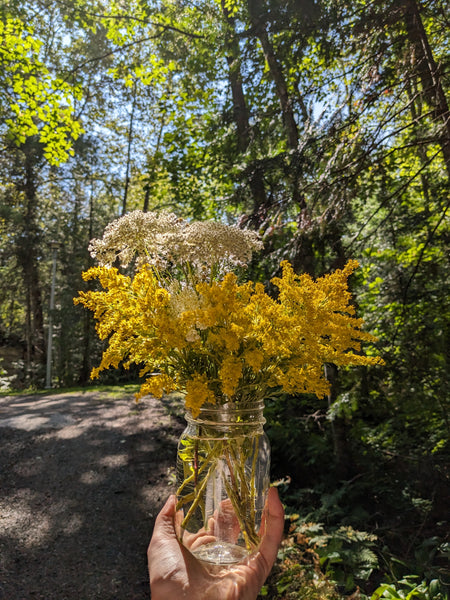 Harvesting Beauty: A Year of Hand-Picked Bouquets