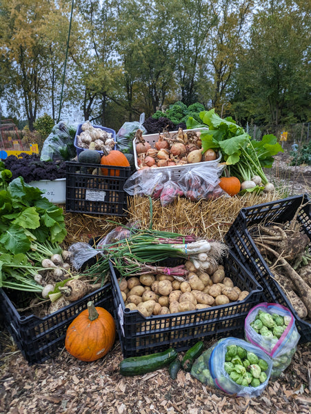 Savourez les saisons : l'argument culinaire en faveur d'une alimentation saisonnière