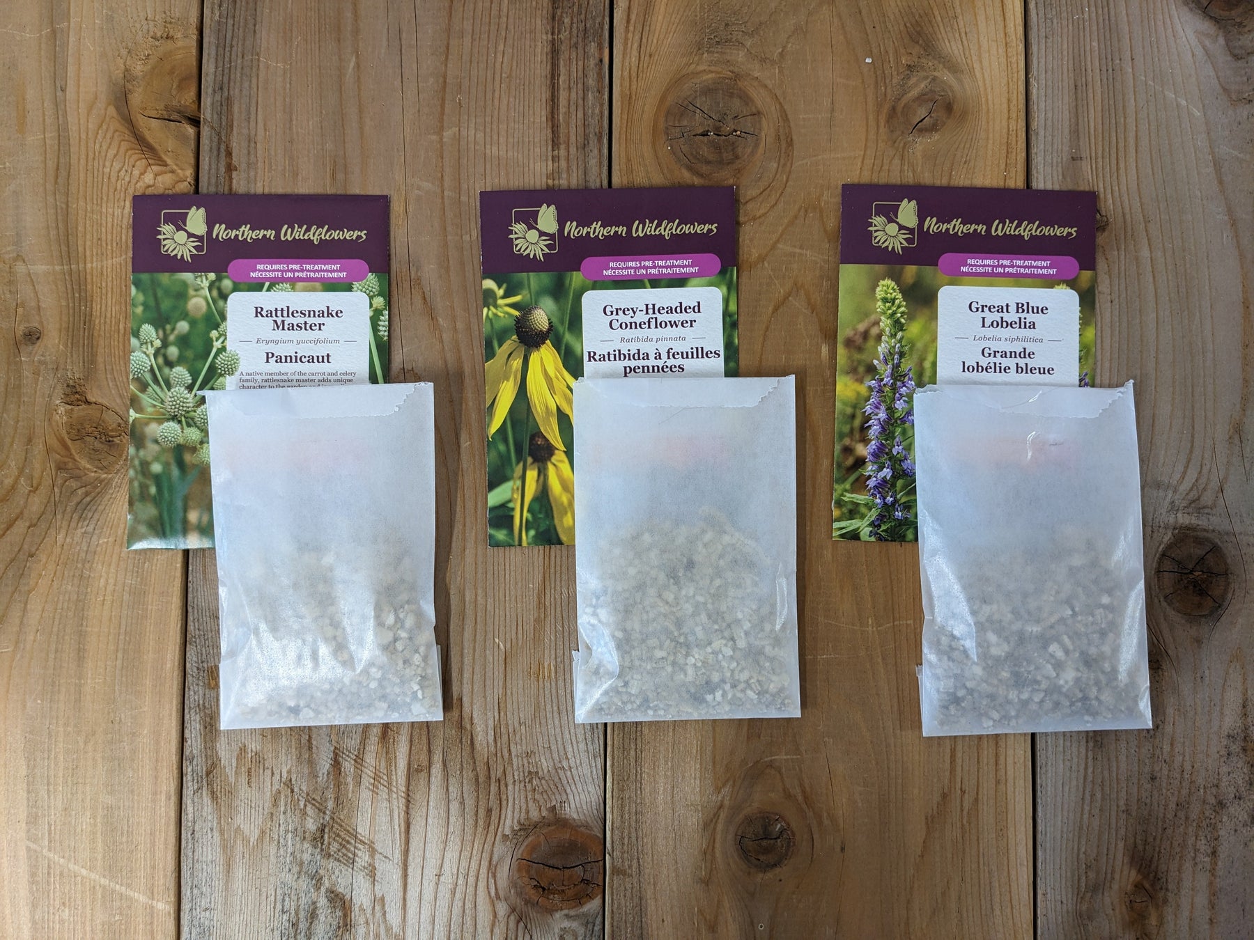 Cold Stratifying Seeds in 7 Days: Two Fridge Methods for Seed Stratification