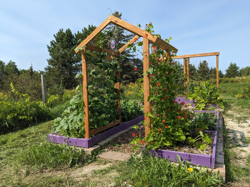 Save Water, Grow Food: The Best Strategies and Plants for a Drought-Resistant Garden