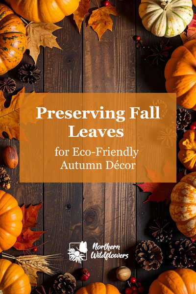 Preserving Fall Leaves for Eco-Friendly Autumn Décor