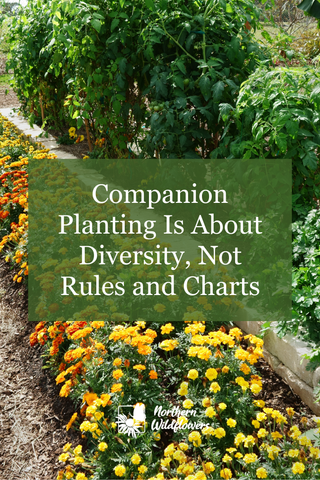Companion Planting Is About Diversity, Not Rules