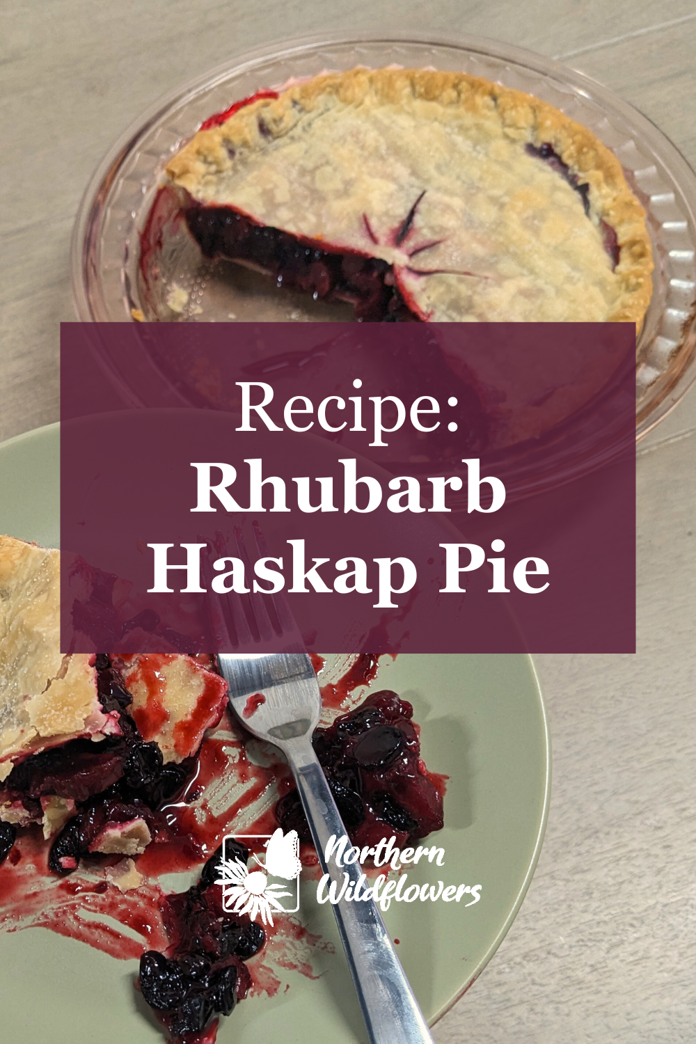Haskap Rhubarb Pie: A Northern Homestead Spring Classic