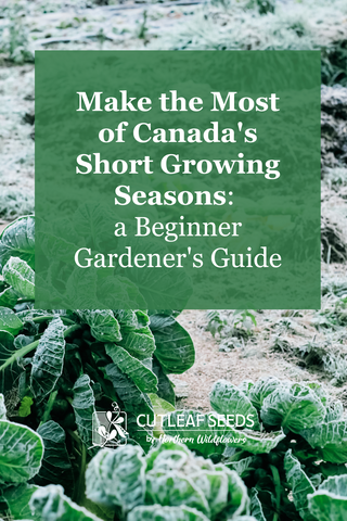 How to Make the Most of Canada's Short Growing Seasons: a Beginner Gardener's Guide
