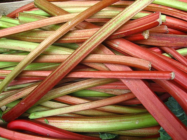 Rhubarb Jam