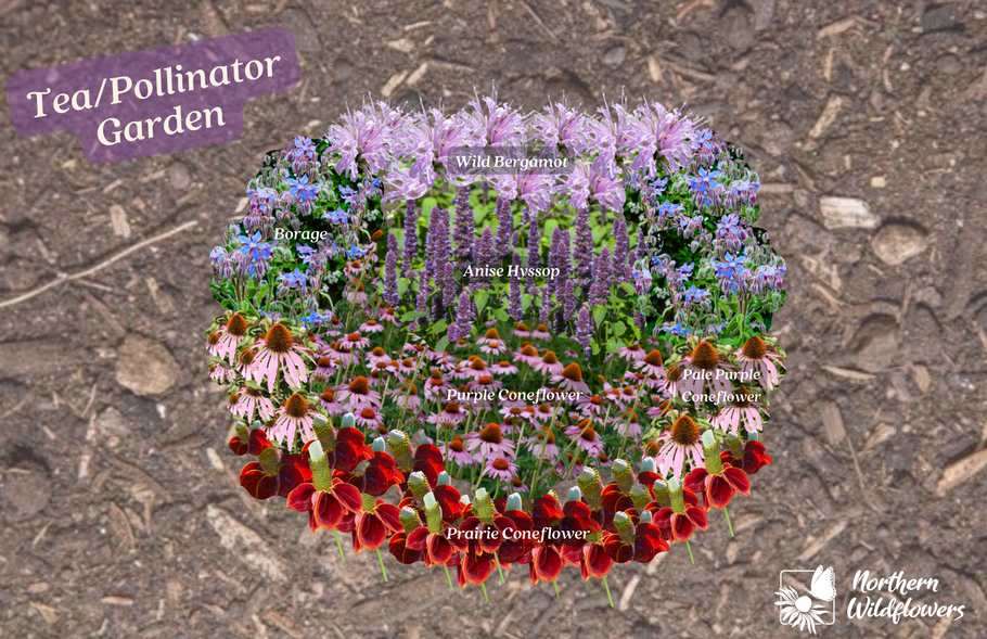 Conception de jardin de thé/pollinisateur