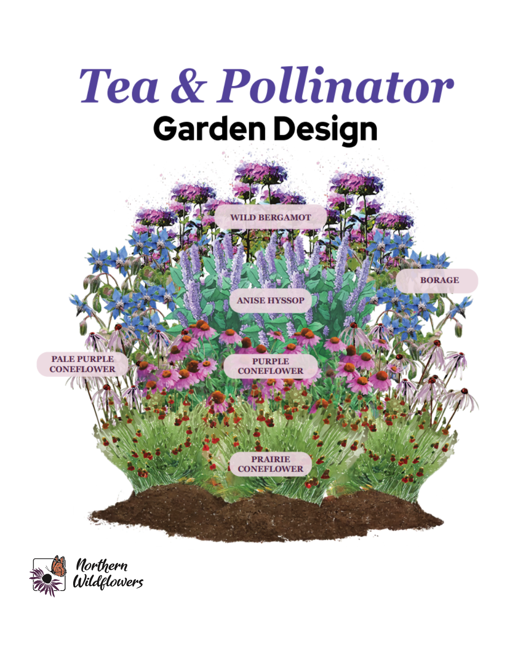 Wild Tea and Pollinator Garden Design