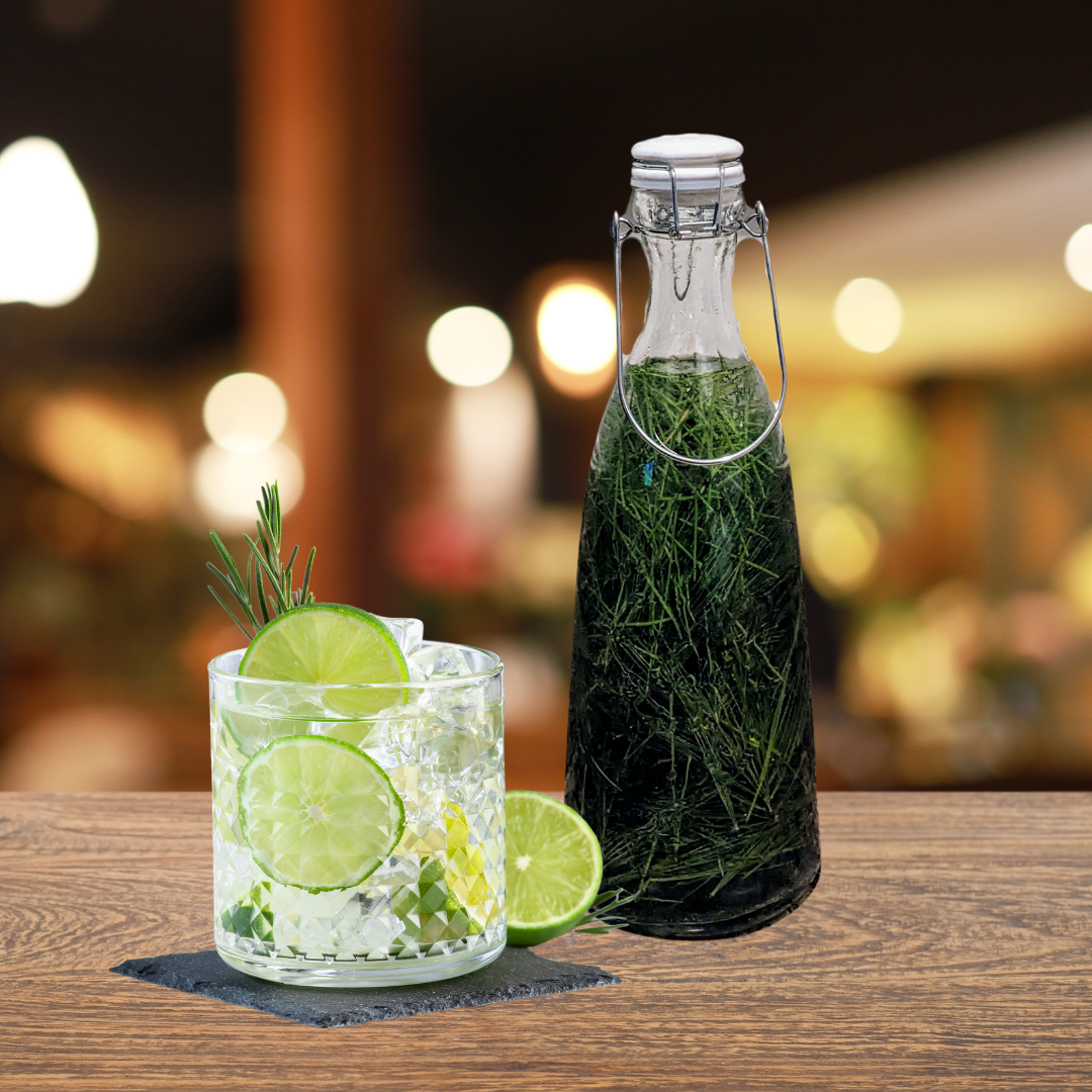 DIY Pine Needle Soda