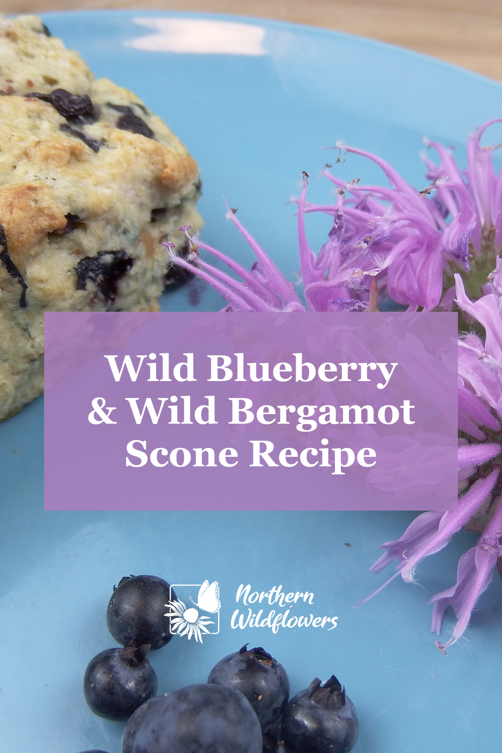 Wild Blueberry and Bergamot Scone Recipe