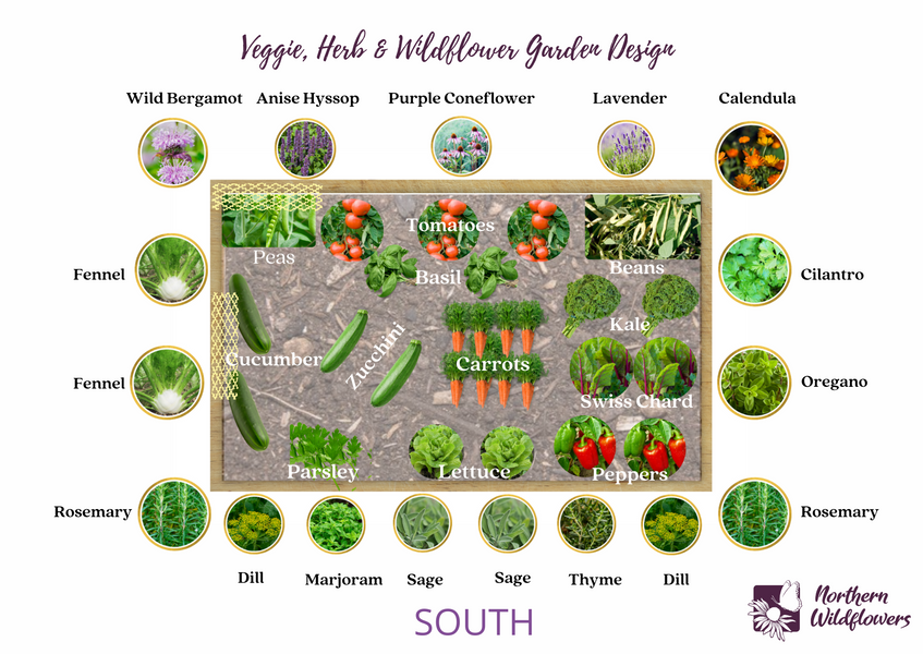 Sample Raised Bed Garden Design- Wildflowers, Vegetables, and Herbs (Oh My!)