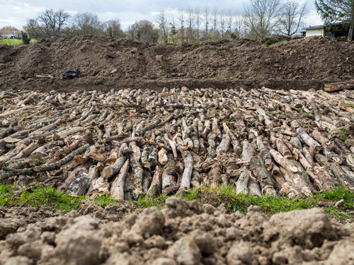 Découvrez les merveilles du jardinage Hügelkultur