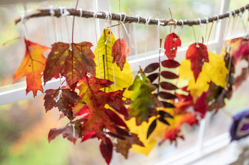 Preserving Fall Leaves for Eco-Friendly Autumn Décor