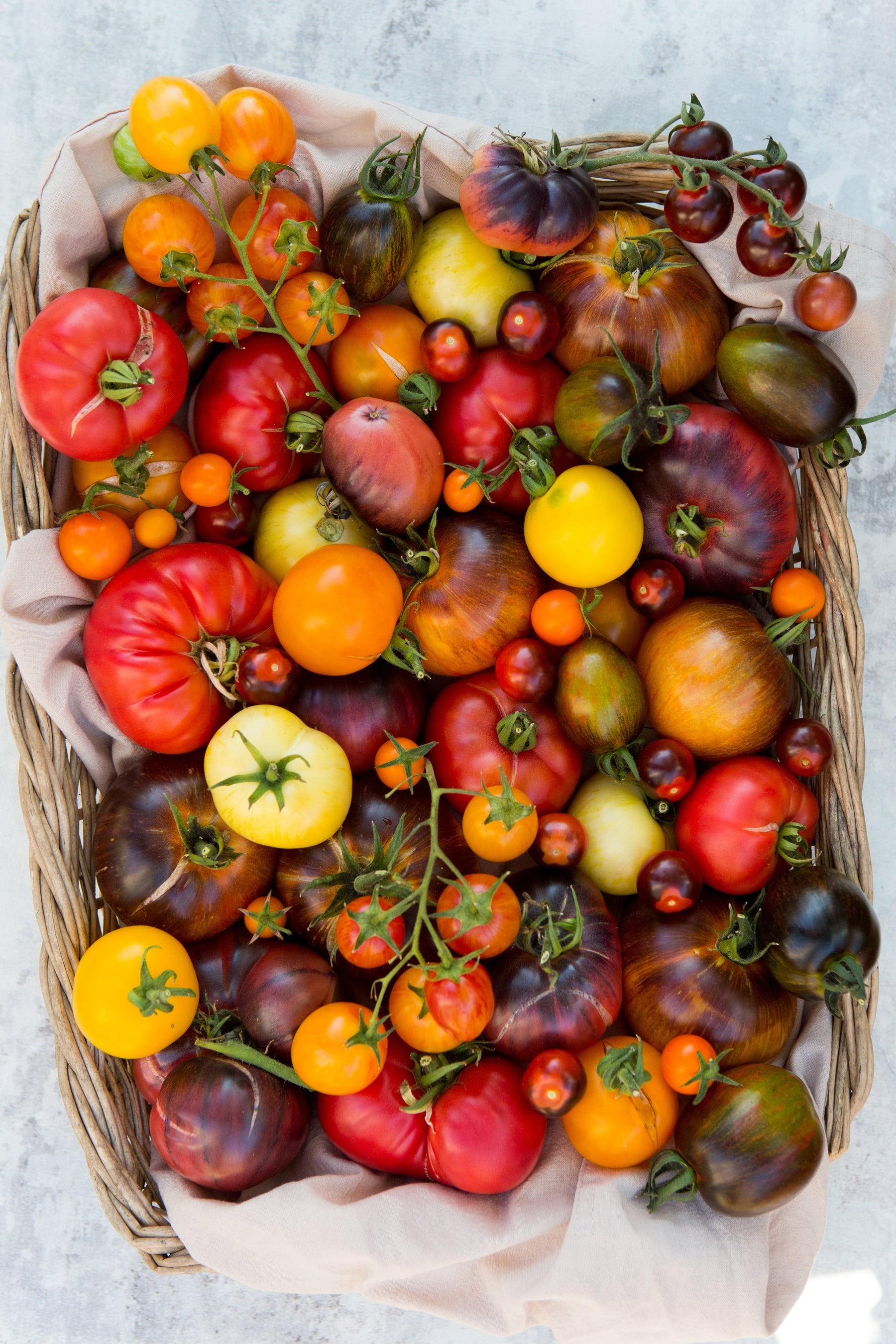 Tomato Guide: Choosing the Best Tomato Variety for the Job!