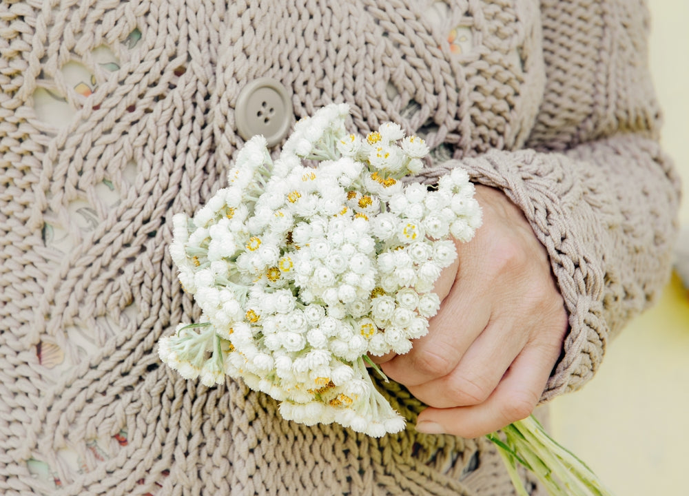 3 Standout Flowers for Your Cut Flower Garden