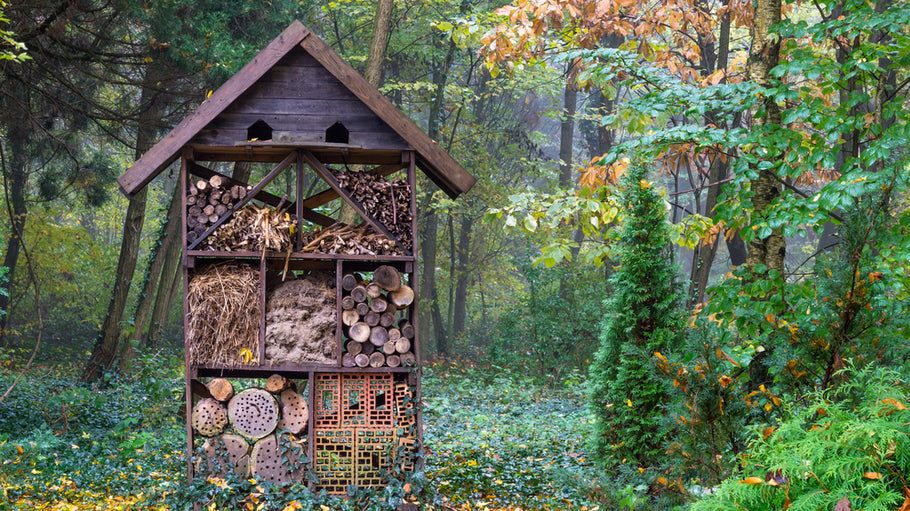 What's the Buzz About Bee Hotels and Bug Condos?