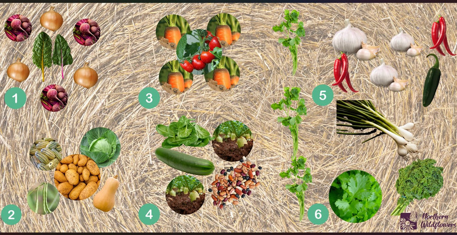 Garden Design: Staple Crops, Nutrient-Dense Crops & Fun Crops