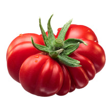 Charger l&#39;image dans la galerie, Tomato, Costoluto Fiorentino Seeds