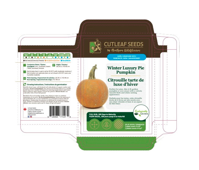 Pumpkin, Winter Luxury Pie