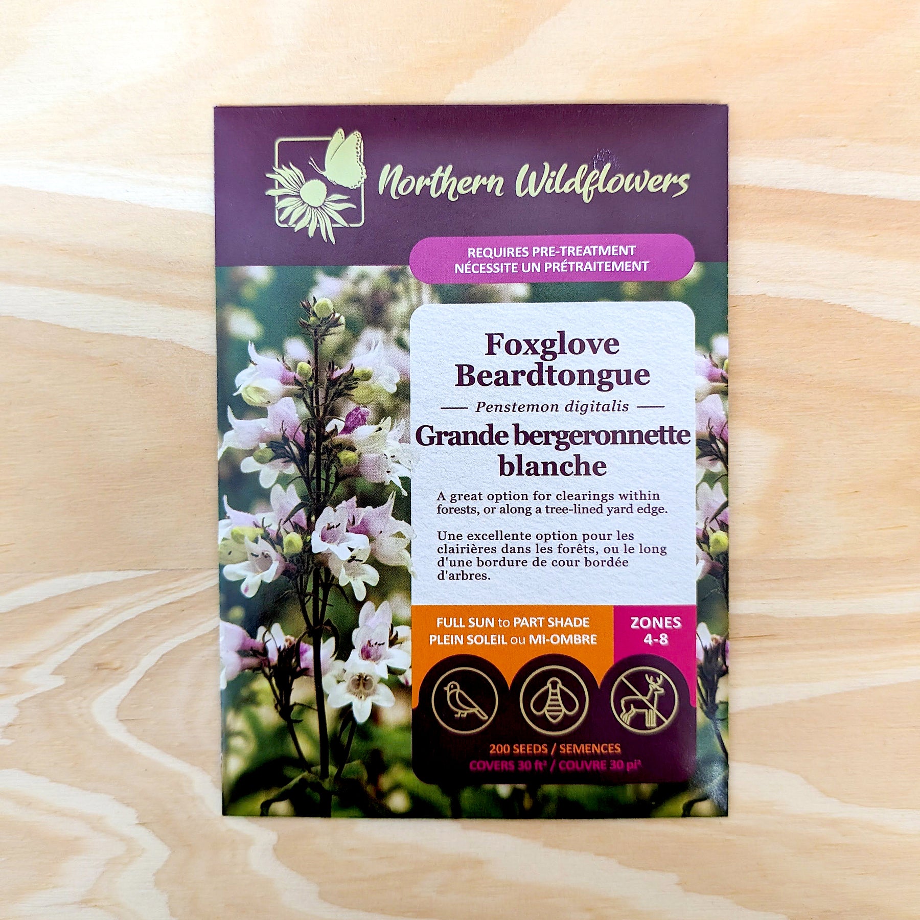 Foxglove Beardtongue
