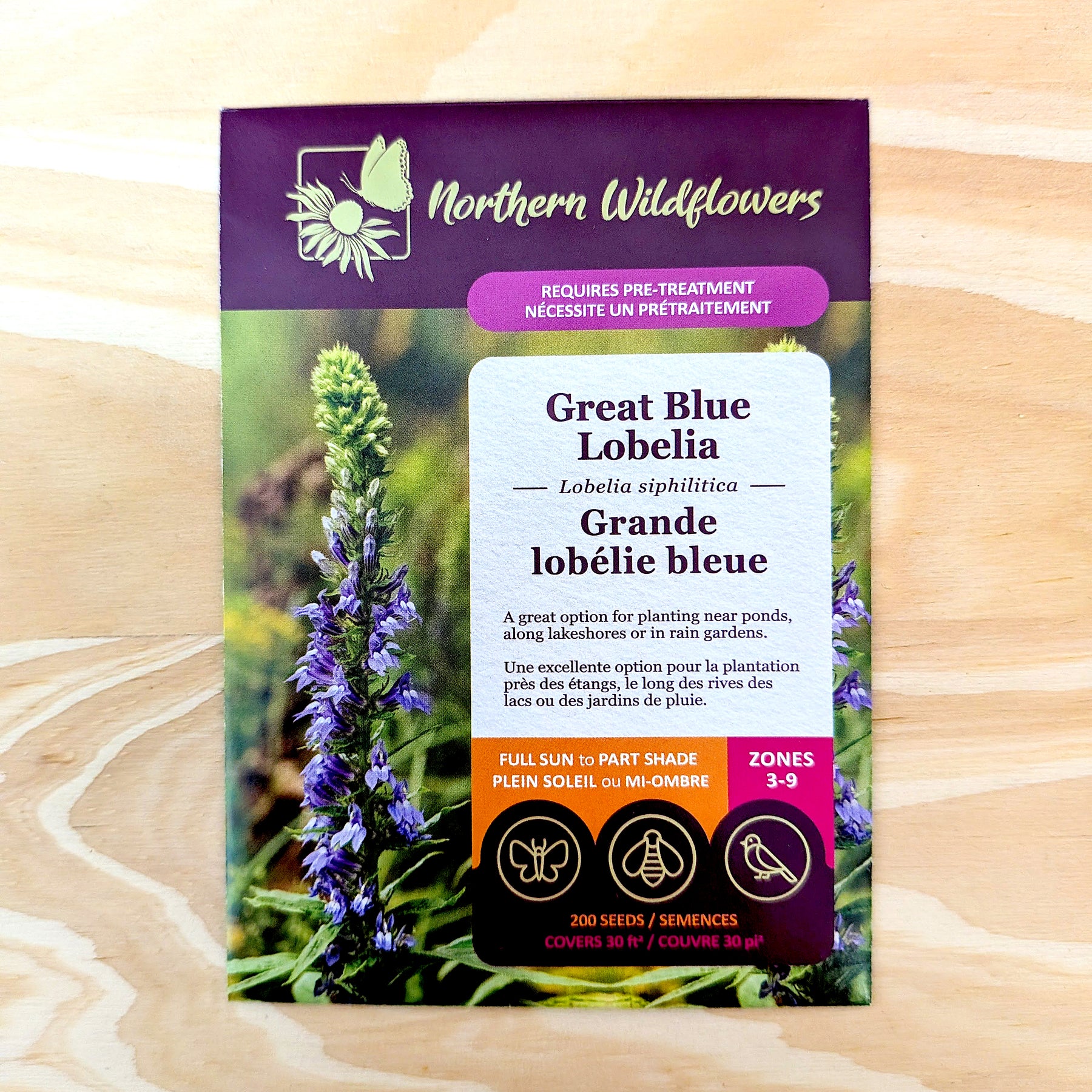 Great Blue Lobelia