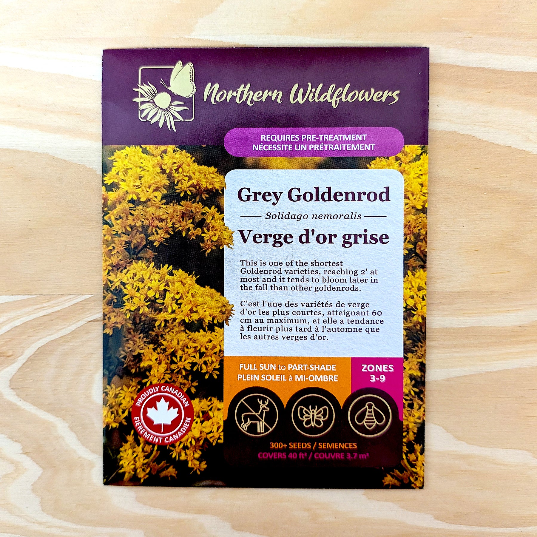 Grey Goldenrod