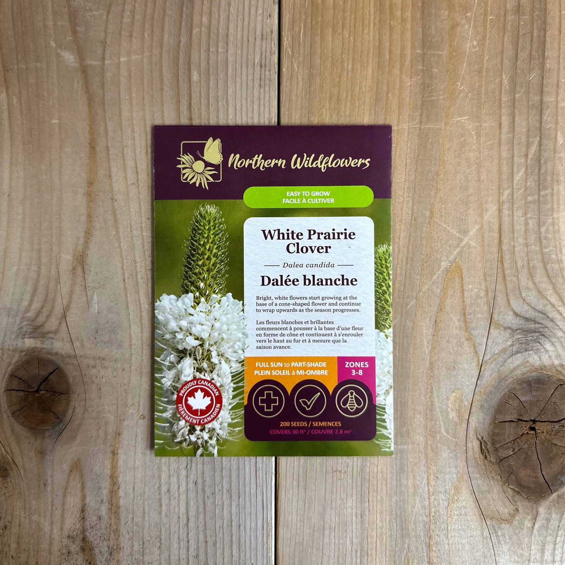 White Prairie Clover