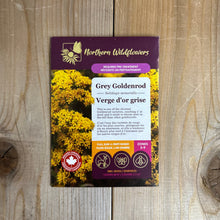 Load image into Gallery viewer, Grey Goldenrod
