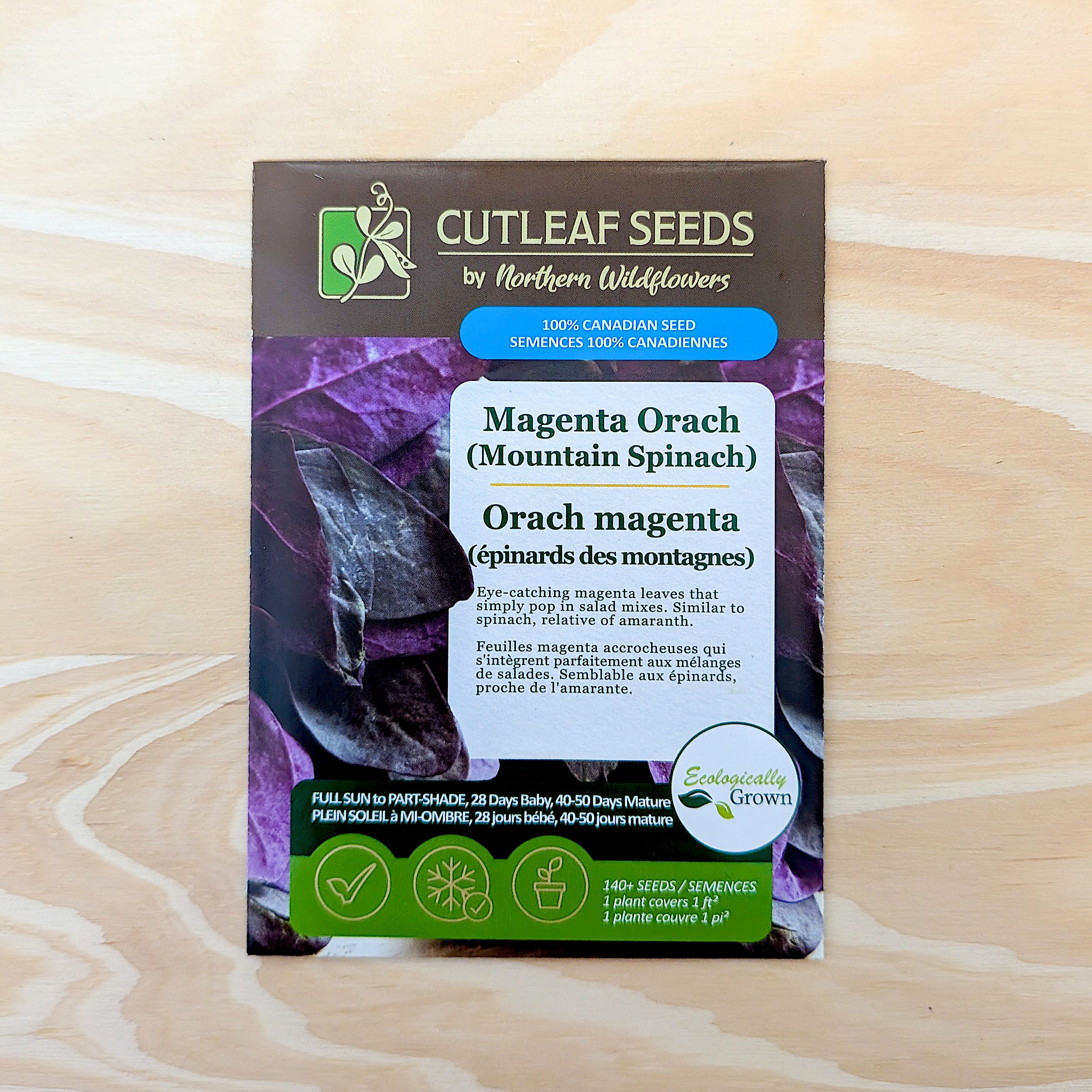 magenta plant seed Orach, Magenta (Mountain Spinach) – Northern Wildflowers