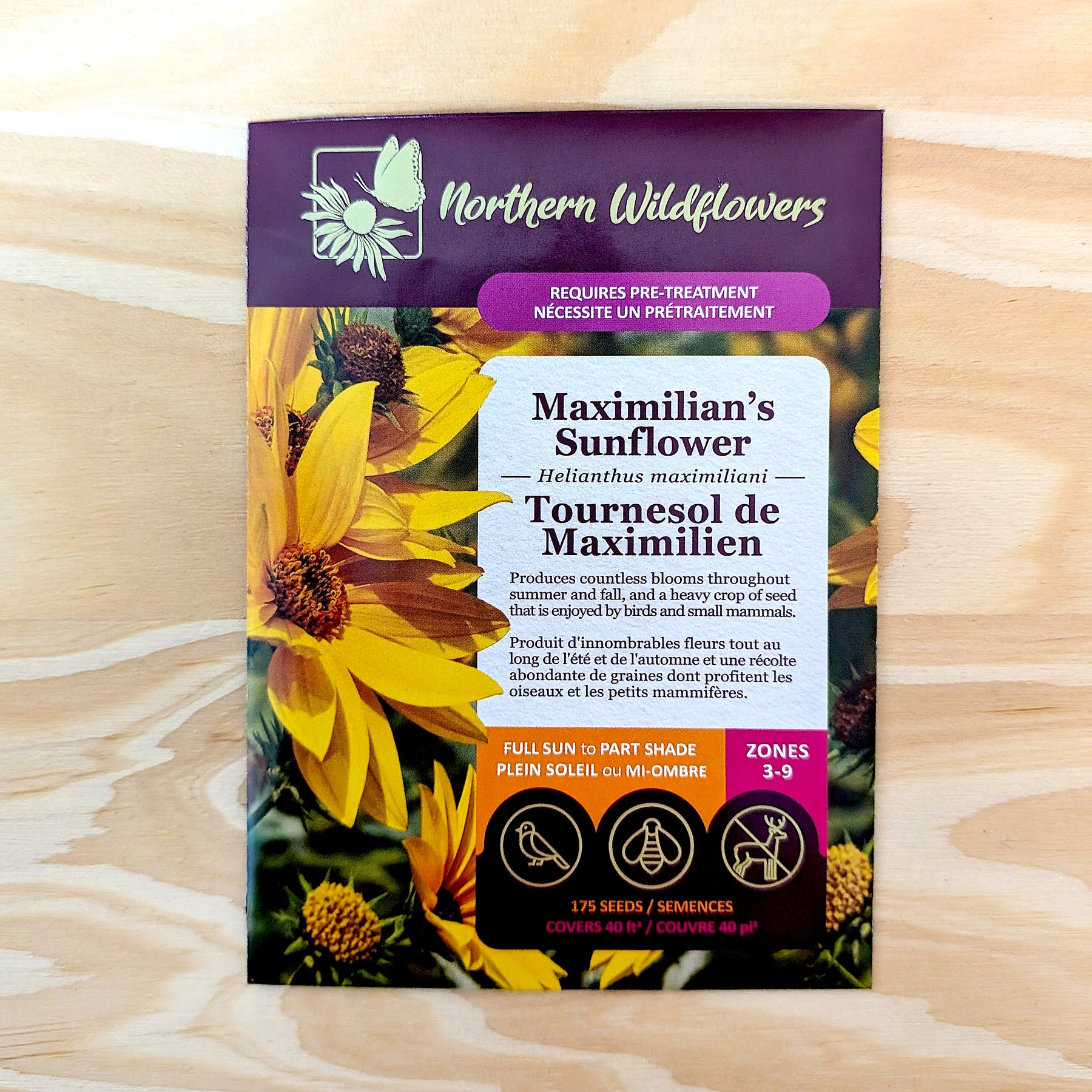 Maximilian's Sunflower