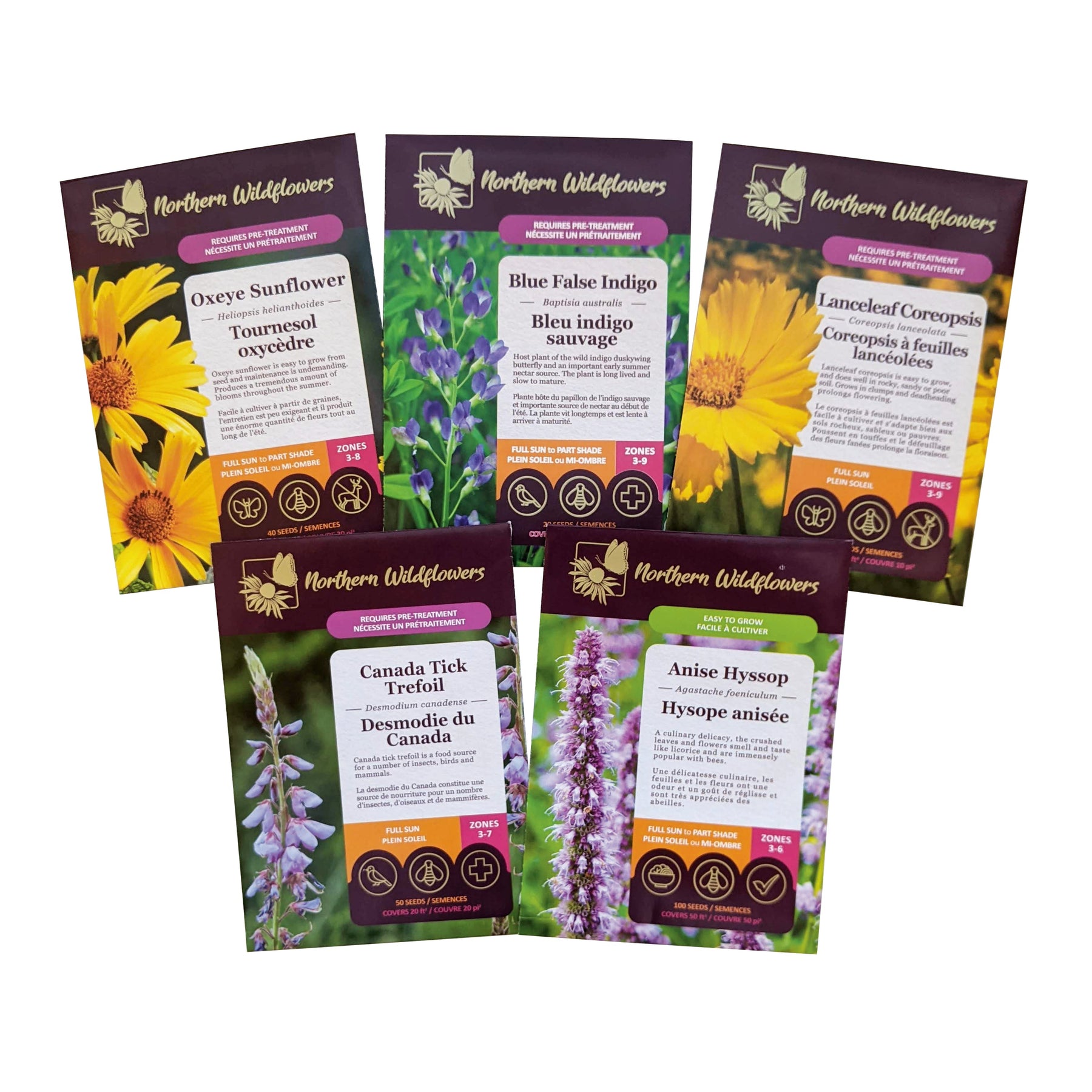 Collection de fleurs sauvages pour les abeilles