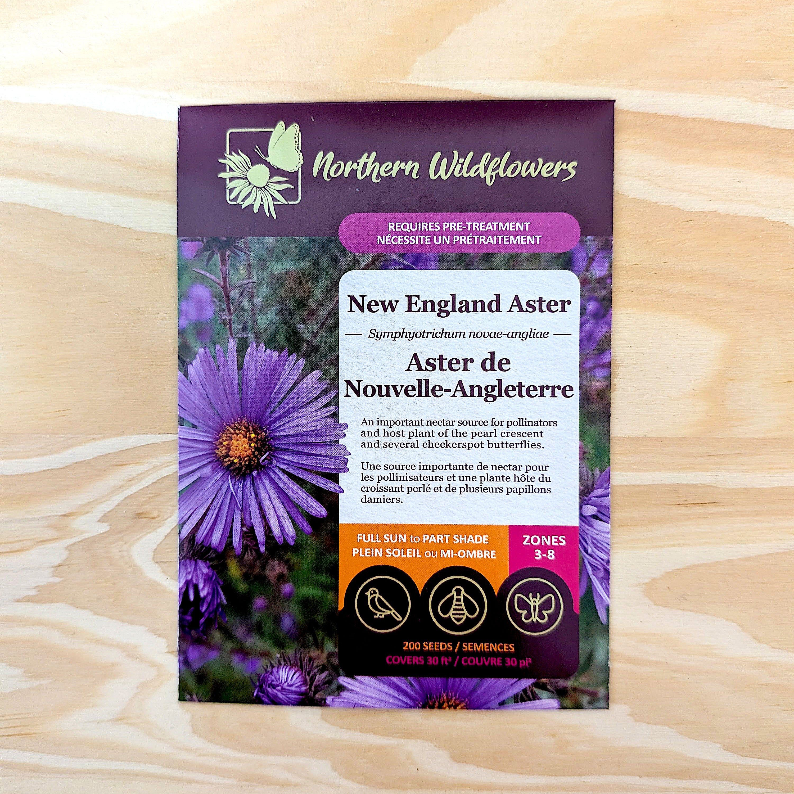 new england flower seeds New England Aster Wildflower Seed – Northern Wildflowers