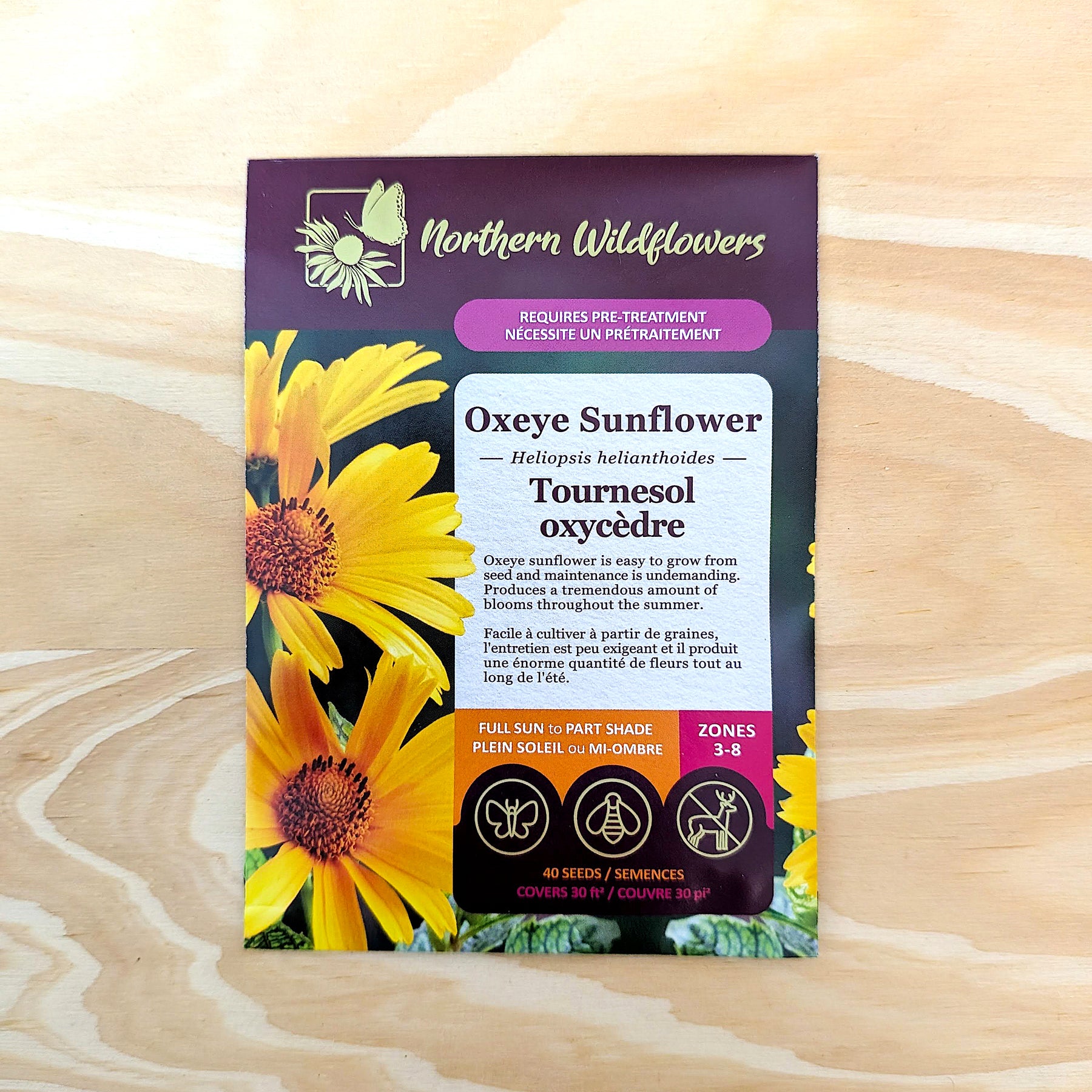 Oxeye Sunflower