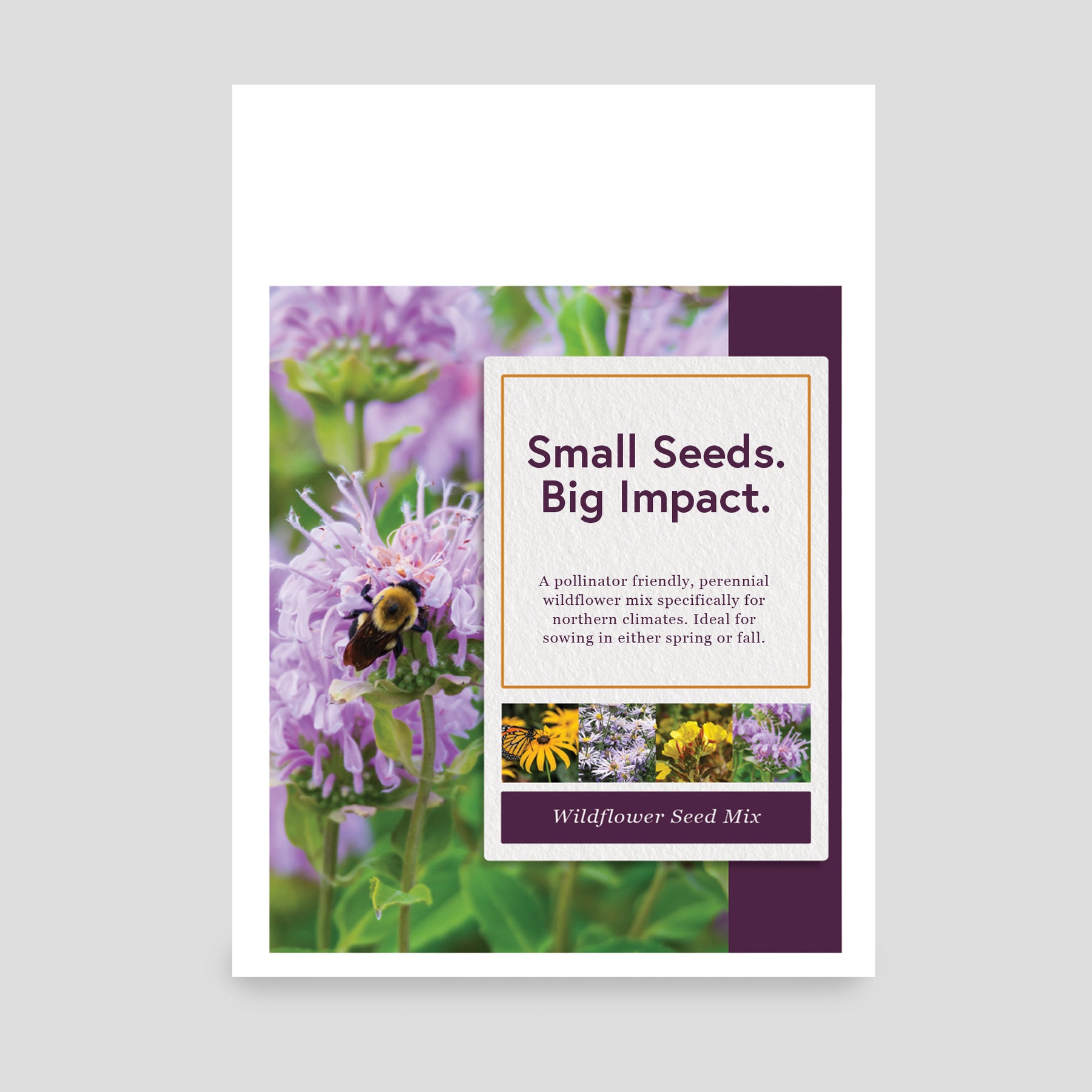 Promotional Seed Packets | Wildflower Mix