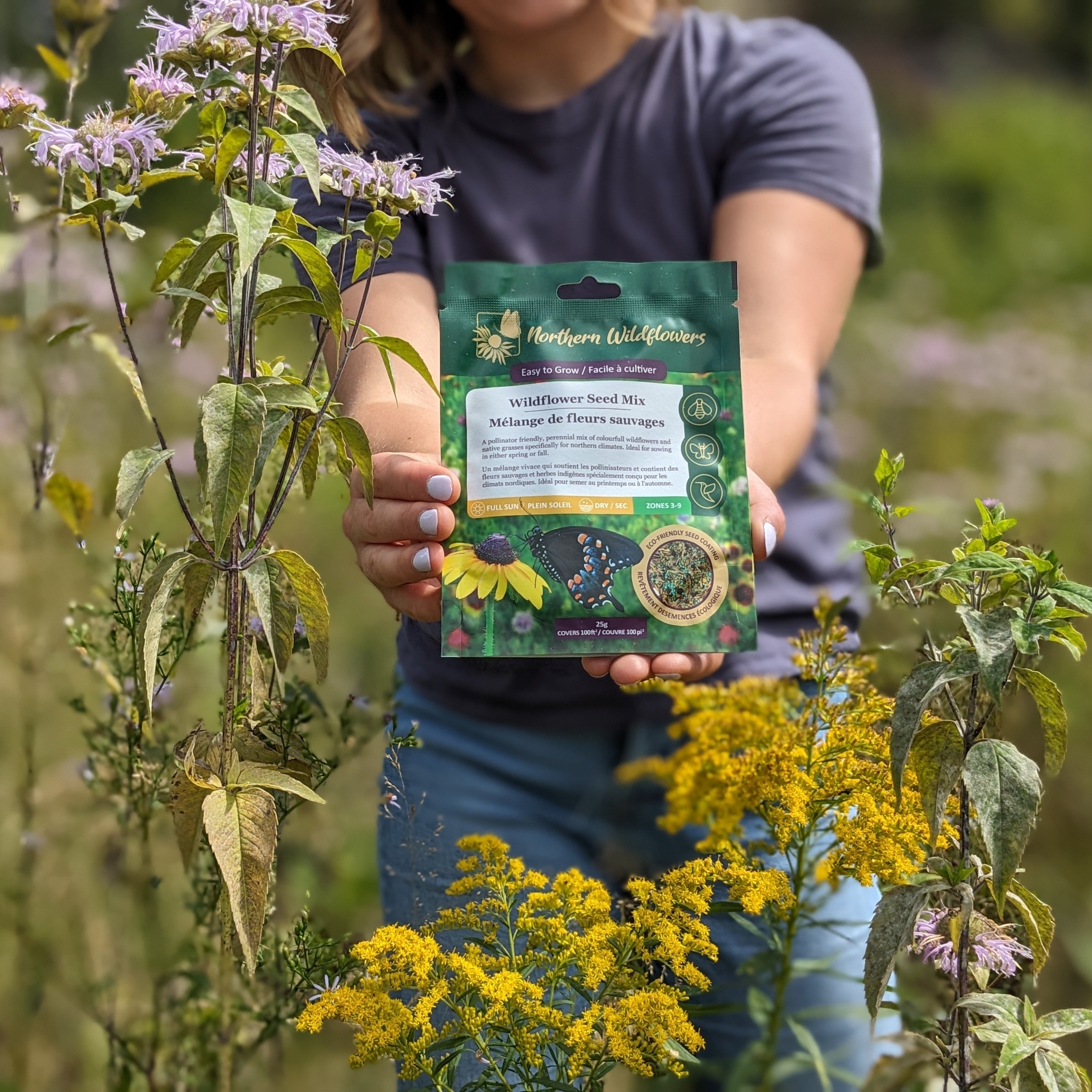 wildflower seed mix ontario Easy to Grow Wildflower Seed Mix – Northern Wildflowers