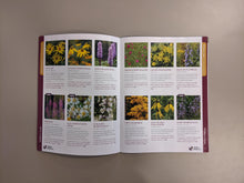 Load image into Gallery viewer, 2026 Seed Catalogue