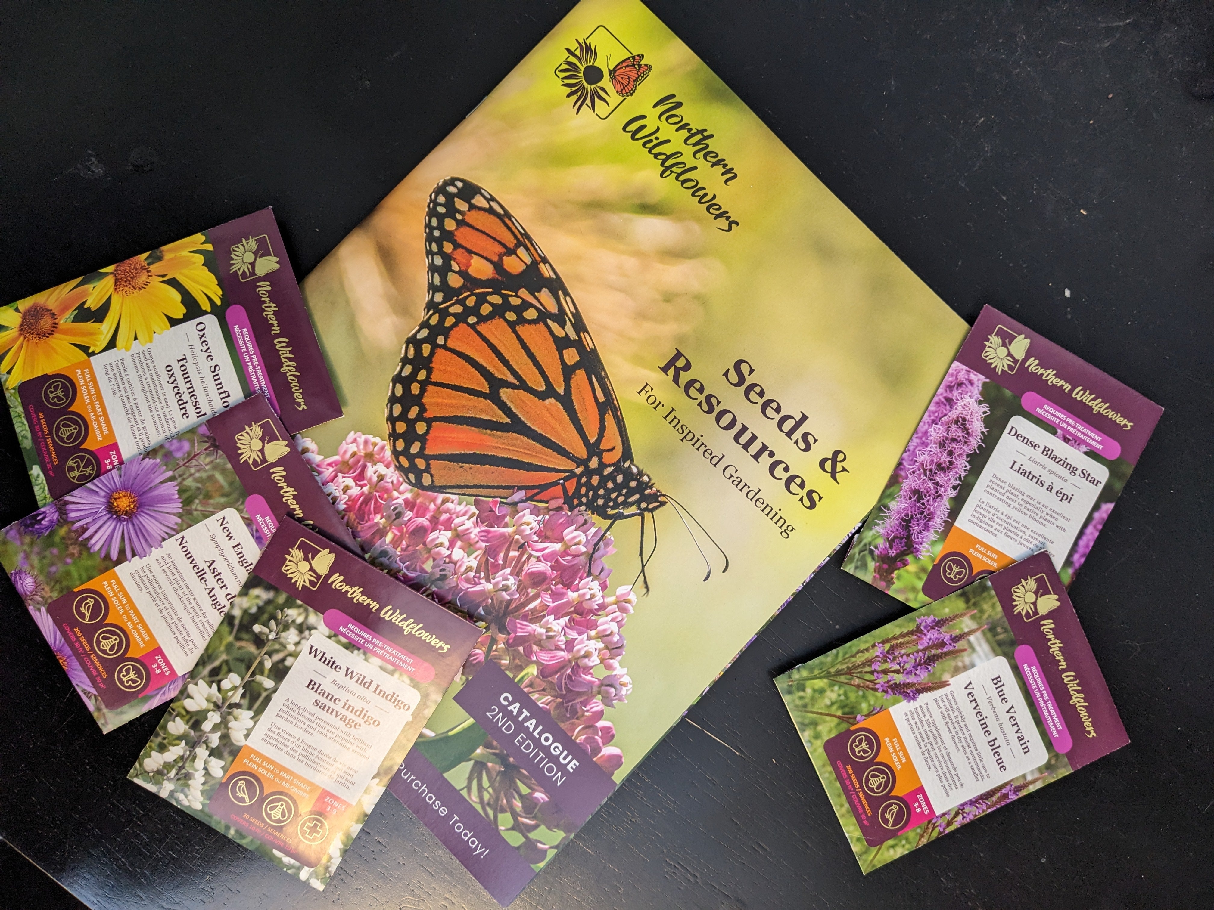 plant world seeds catalogue 2026 Seed Catalogue – Northern Wildflowers