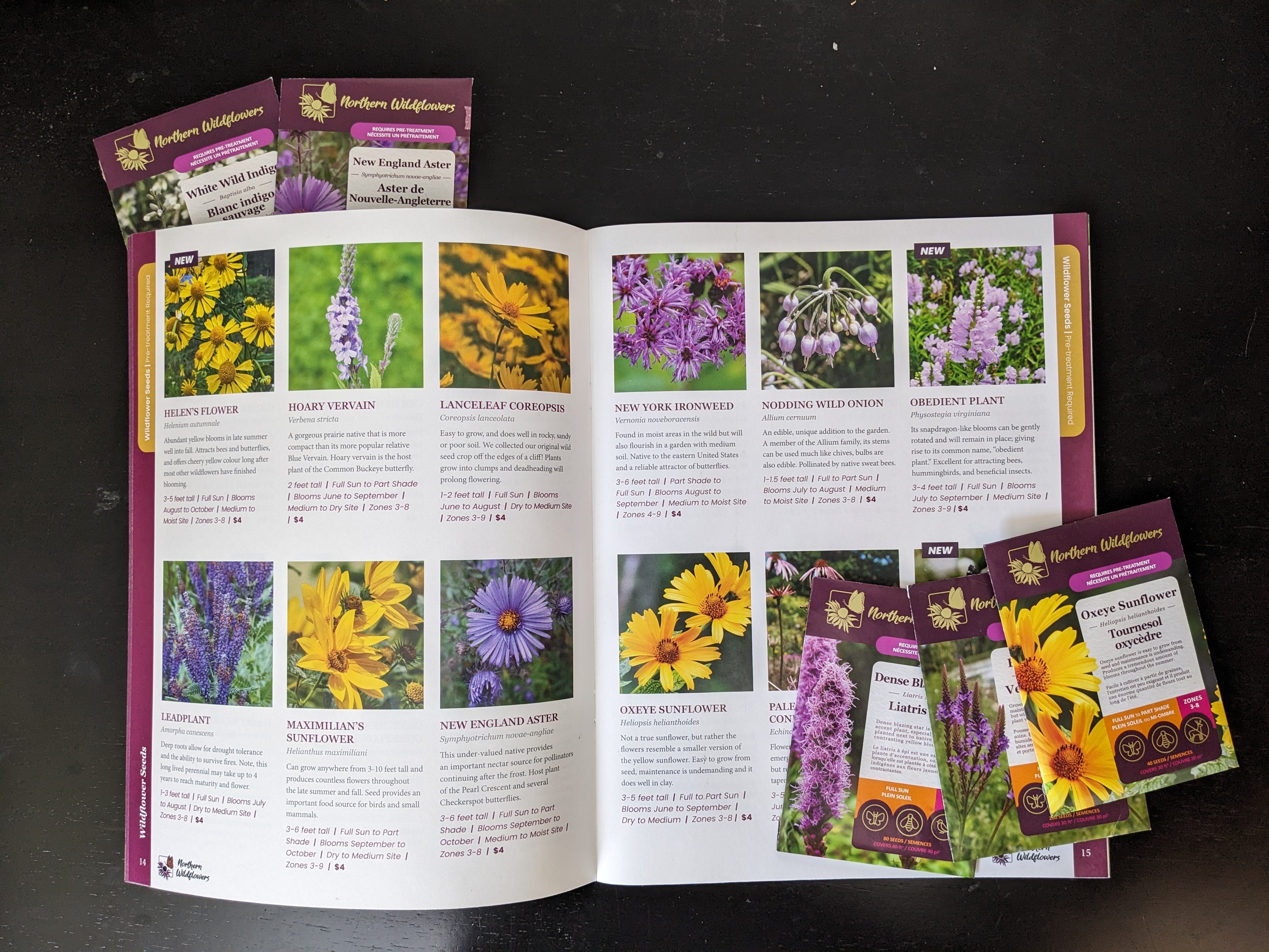 wild garden seed catalog 2026 Seed Catalogue – Northern Wildflowers