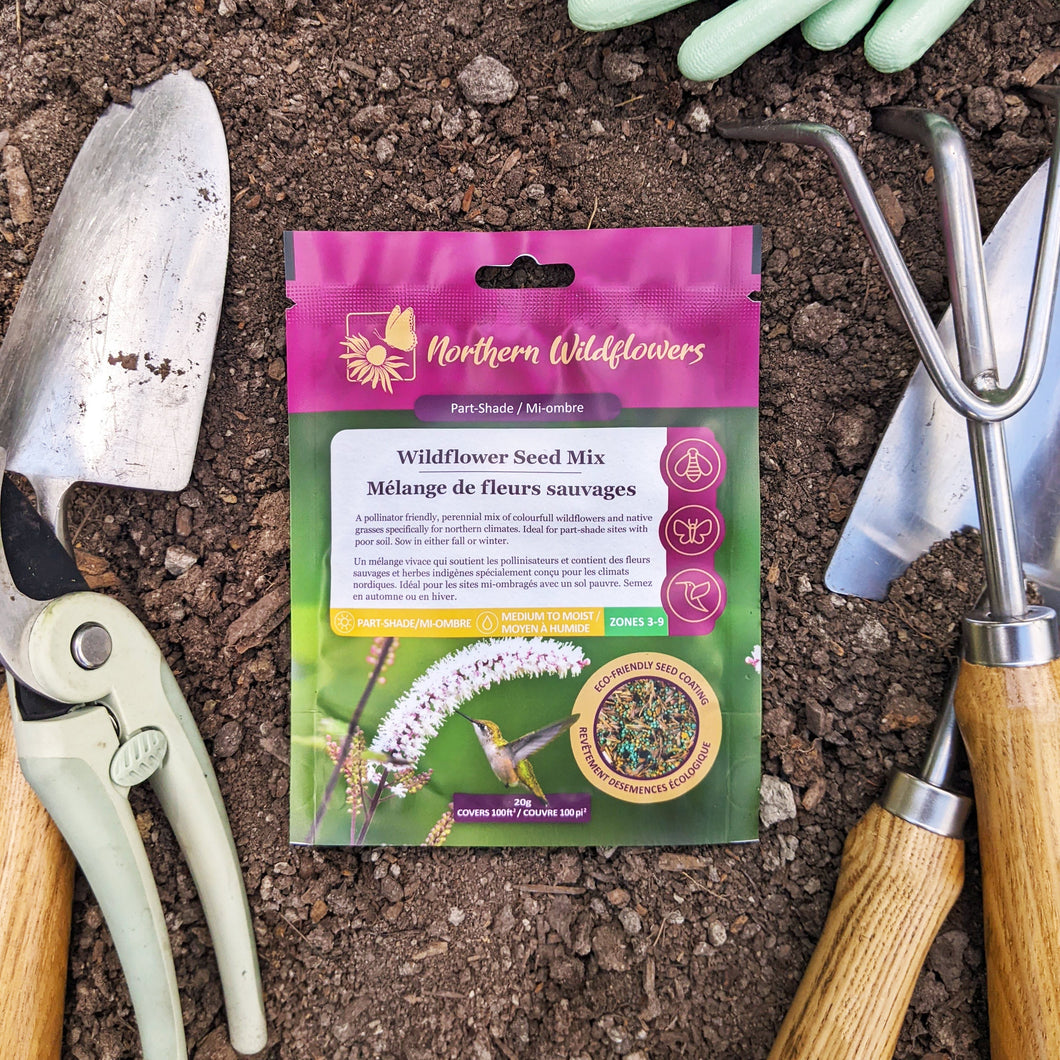 Mélange de semences de fleurs sauvages à mi-ombre